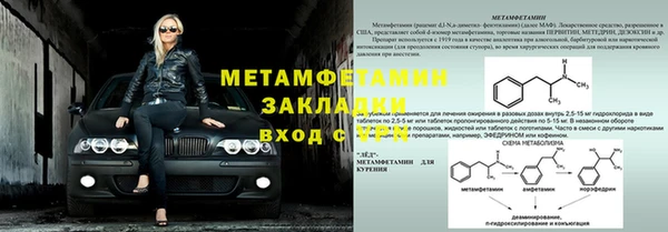 прущие грибы Каменка