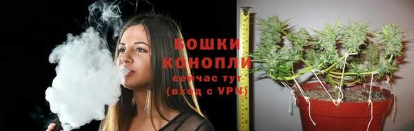 гашик Каменск-Шахтинский