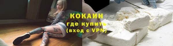 прущие грибы Каменка