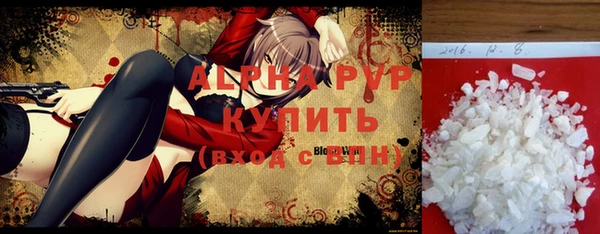 прущие грибы Каменка