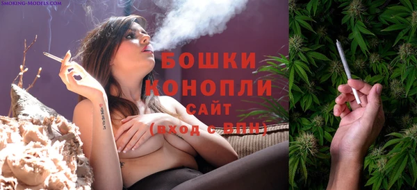 прущие грибы Каменка