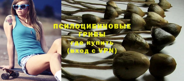 мяу мяу мука Касимов