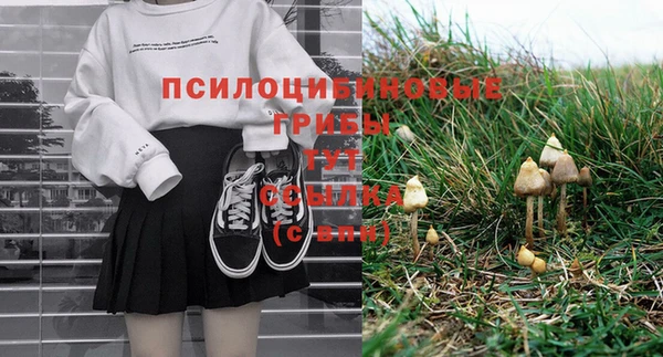 прущие грибы Каменка